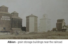 Albiongrain